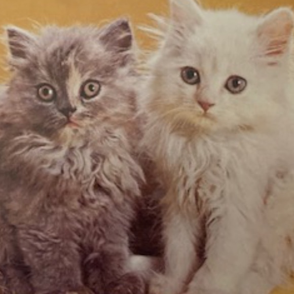 Vintage Shadow Line Layered Chiffon Peignoir Set - Picture 12 of 12